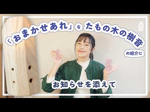 商品紹介】素敵なたもの木の樹音のご紹介と、15周年でしたという
