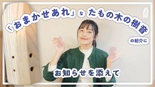 商品紹介】素敵なたもの木の樹音のご紹介と、15周年でしたという