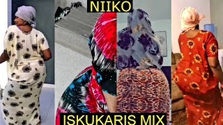 Niiko Iskukaris Mix V107