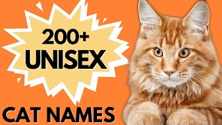 200 Unisex Cat Names PERFECT for your Male or Female cat  | Unique Boy & Girl Cat Names