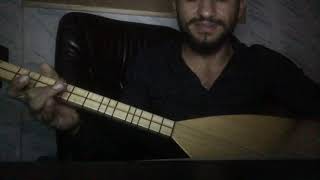 Yusuf sümbül & eşinden ayrılan yaralı ördek