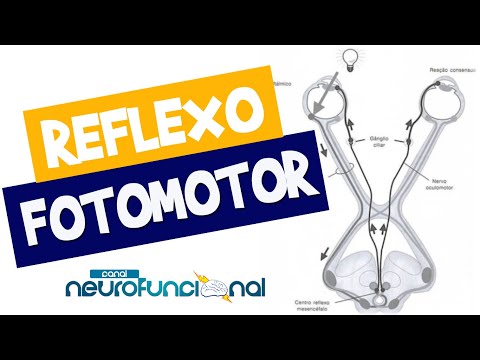 REFLEXO FOTOMOTOR E CONSENSUAL (Vídeo Aula)