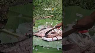 7Kg Ka Fish 🐠 |  Fish Party Chalega 😱 | #shorts #video #trading #fish