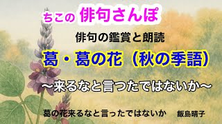俳句 5世紀にわたる詩 作品集「Haiku」2017年 Reclam 俳句 5世紀にわたる詩 作品集「Haiku」2017年 Reclam