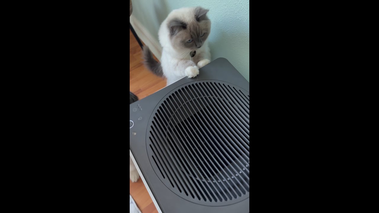 Coway Airmega 400 | Home & Office Air Purifier | Large Spaces