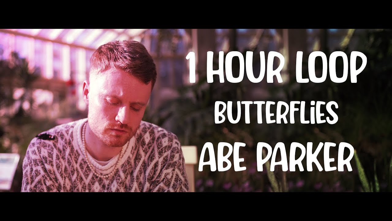 butterflies abeparker 1hourloop Abe Parker Butterflies 1 hour