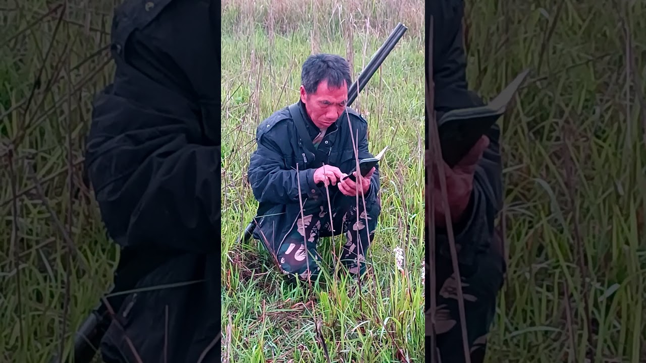 A forest staff busy on observation 