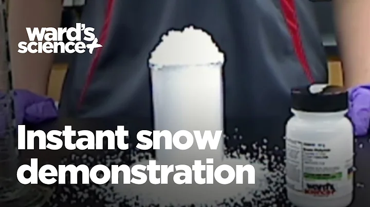Ward's Chemistry Instant Snow Demonstration