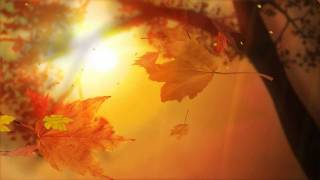 Leaf Fall Animated Wallpaper http://www.desktopanimated.com