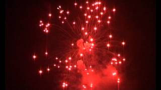 5'' Display Shell---Red crossette--30