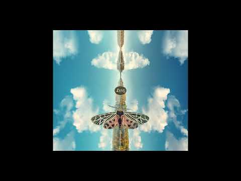 Lunz - Iota (Visualizer)