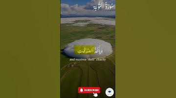 اكتب شيء تؤجر عليه 🤍 🤲🏻 #quran #اسلام #قرآن #راحة_نفسية#سورة_التوبة