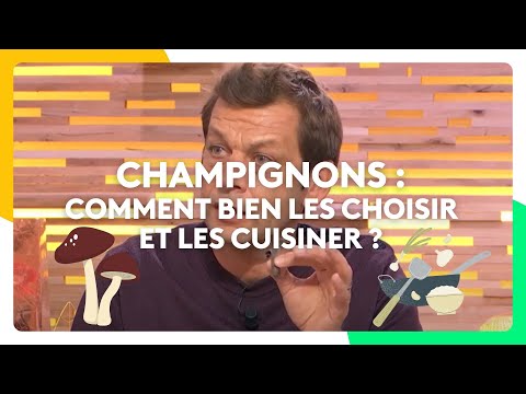 Champignons : comment bien les choisir et les cuisiner ? (Laurent Mariotte)