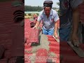 ⚡️🏠 Roof Ridge Capping Masterclass: Perfecting The Cement Mortar Bed! #Shorts