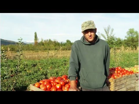 ერგნეთი - 12 თებერვალს, 21.00 საათზე, „ზღვარზე“ ტელებლოგში, პირველ არხზე