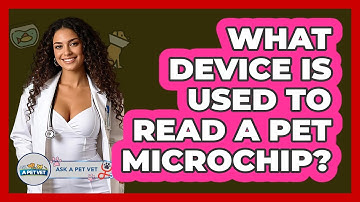 What Device Is Used To Read A Pet Microchip? - Ask A Pet Vet
