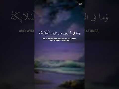 الشيخ ياسر الدوسري جزله الله الخير