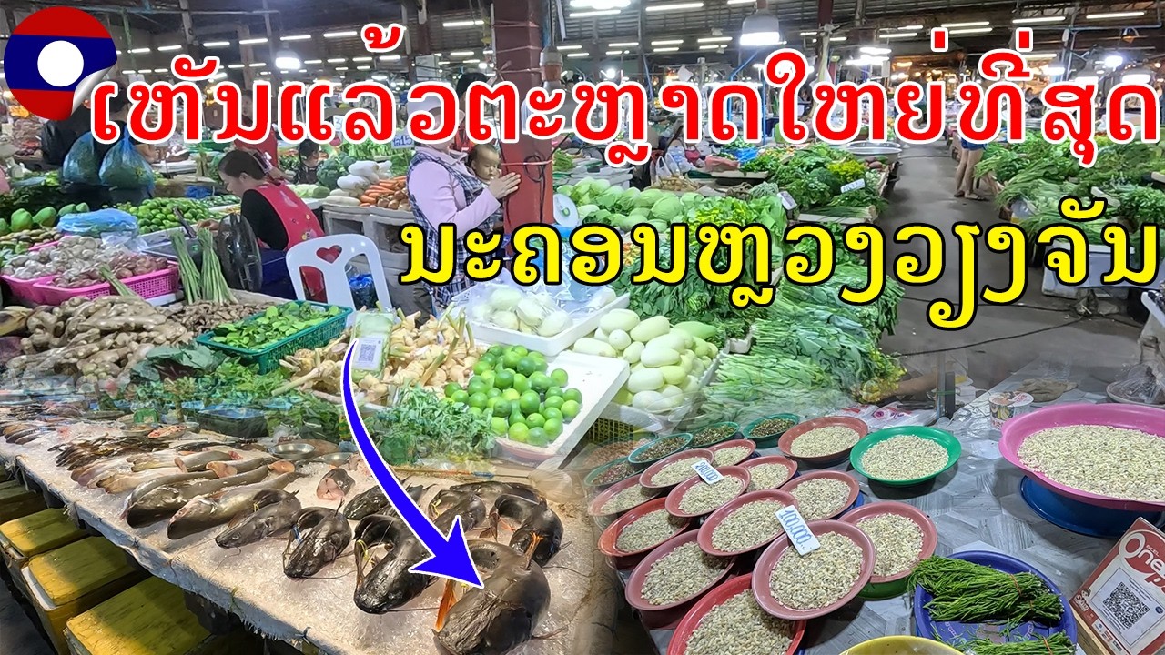 Laos🇱🇦 :ຕະຫຼາດລາວ,ຂ້າງສະຖານີລົດເມສາຍໃຕ້, ເມືອງໄຊທານີ,ນະຄອນຫຼວງວຽງຈັນ,The biggest market in Vientiane