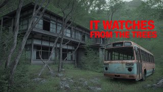 Eerie Discovery on Japan’s Usui Pass