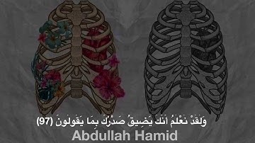 وَلَقَدْ نَعْلَمُ أَنَّكَ يَضِيقُ صَدْرُكَ بِمَا يَقُولُونَ _القارئ إسلام صبحي _حالات واتس اب دينيه|