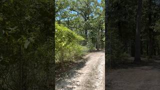 That’s 90° been how #youtubeshorts #funny #basketball #shorts #youtube #Farm #tree #fencing ￼