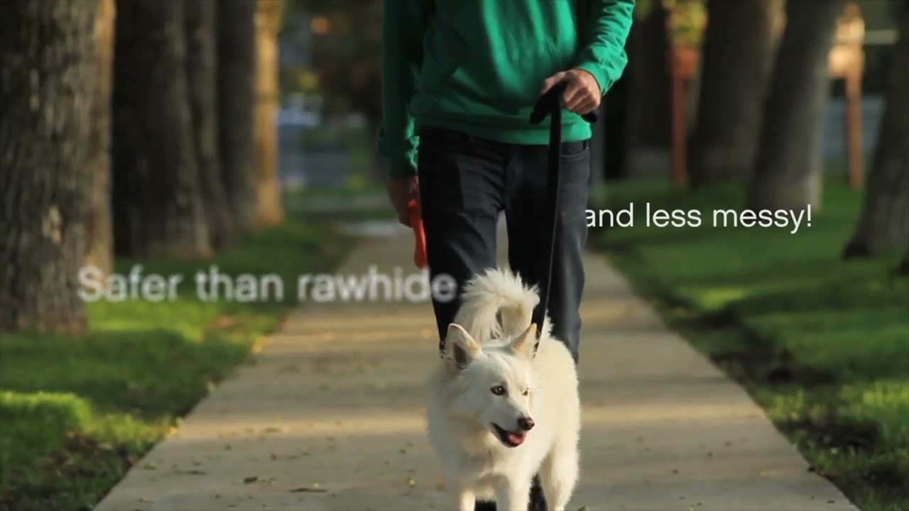 Hurley - West Paw - Zogoflex - Bot voor honden