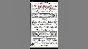 سورة التكاثر ✨️🌹 #القرآن_الكريم