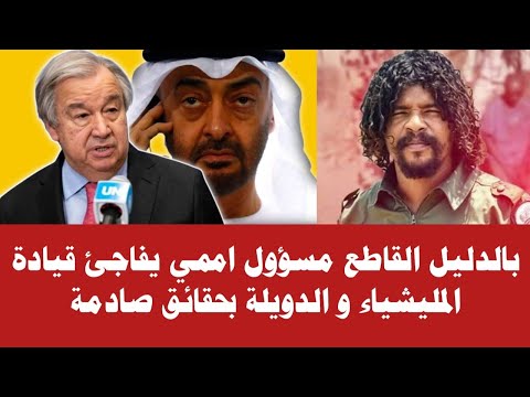 بالدليل القاطع مسؤول اممي كبير يفاجئ قيادة المليشياء و الدويلة بحقائق صادمة البل قاااادم