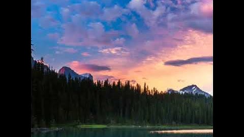 القارئ الشيخ معاذ عسال