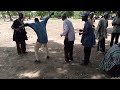 Dagara Gyil Le Balafon En Live Merci à Vitalis Aabe IKuu Dagara Gyil Le Balafon En Live Merci à Vitalis Aabe IKuu