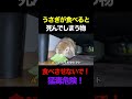 うさぎが食べると死んでしまう物4選!