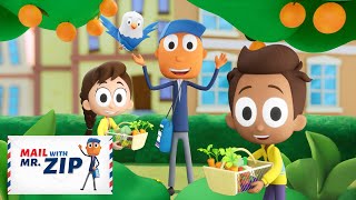 Building a Healthy Garden! 🫛🥕 | Mail with Mr. ZIP Mailman Cartoons | Fun Videos for Kids