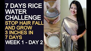 7 DAYS RICE WATER CHALLENGE ! HOW TO GROW HAIR 3 INCHES IN 7 DAYS & Stop Hair fall in a DAY [HAIR] 2