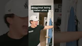 National geographic be like😂😂😂
