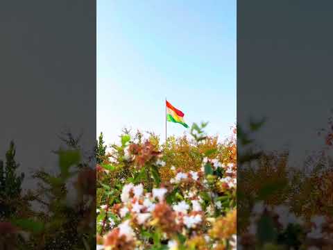 Kurdistan Forever Kurdistan Views Viral Kurdi اكسبلور اكراد Shortvideo Shorts