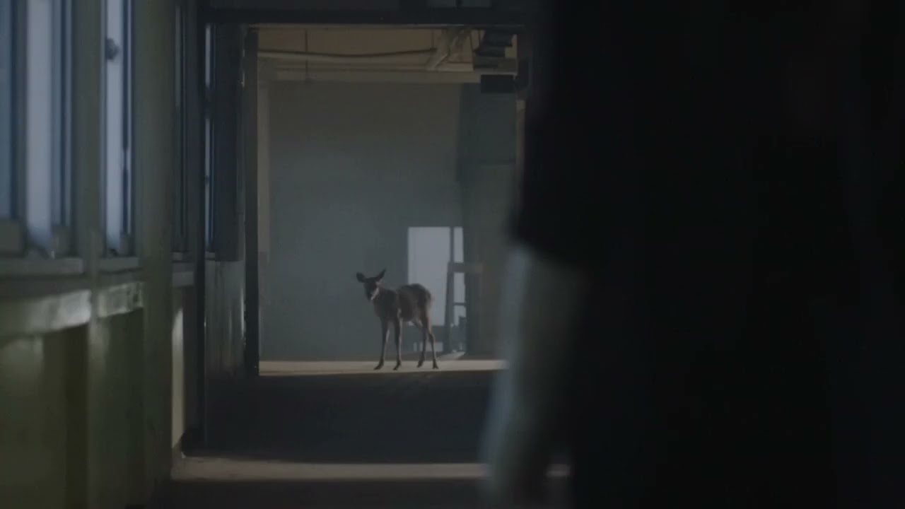 NewJeans · Ditto (Backrooms) (Instrumental) · Existential Level