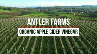 Antler Farms Organic Apple Cider Vinegar - 100% Pure, Raw, Unpasteurized & Unfiltered