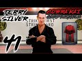 Classic terry silver in cobra kai card fighter gameplay part 41