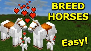 How to BREED HORSES in Minecraft 1.20 (INSTANTLY!)