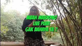 Pijat Mbah Maryono ternyata juga ada Live nya