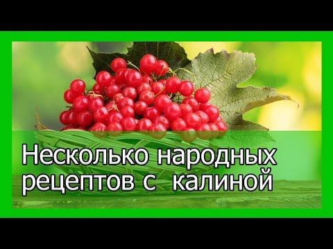 Несколько народных рецептов с калиной