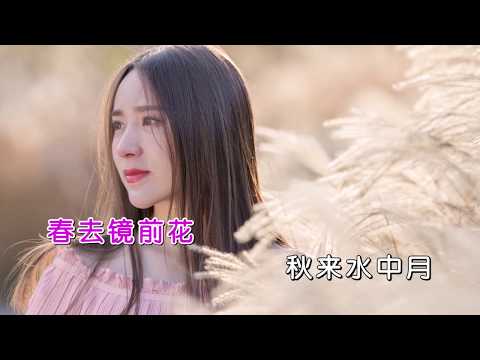 孙艺琪 《酒醉的蝴蝶 DJ何鹏版》 KTV 导唱字幕 （备有伴奏视频）