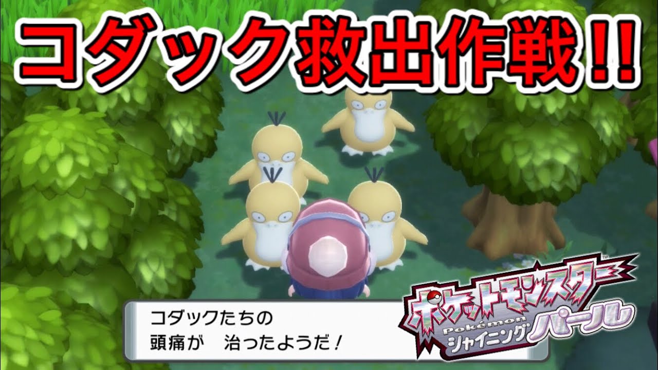 コダックの頭痛を止めろ 目指せカンナギタウン ポケモンシャイパー 17 Youtube コダックの頭痛を止めろ 目指せカンナギタウン ポケモンシャイパー 17 Youtube