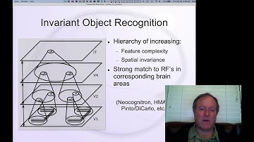 CCN Course 2020, Perception 3: Invariant Object Recognition
