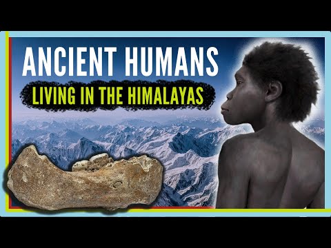 Denisovans: Extinct Humans Living on Top of the World