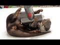 Vacuum cleaner specially made for otter Bingo&Belle