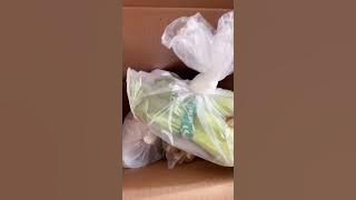 Unboxing allo fresh! Belanja online praktis dan banyak promo!