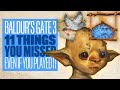 11 Things You Missed In Baldur&#39;s Gate 3 Even If You Played It - BALDUR&#39;S GATE 3 TRANSLATED SIGNS