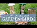 How To Feed Your Garden Birds