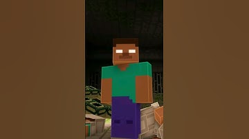 Minecraft But Herobrine Protect End Portal As a Guard #minecraft #herobrine #protection #ytshorts